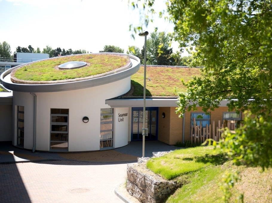 green roof on a chemo ward